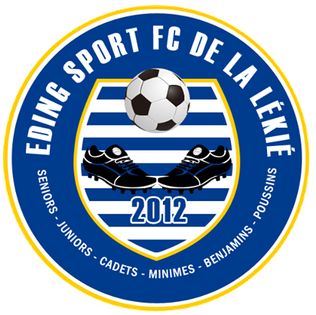 logo-team